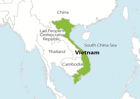 direct dyes in vietnam